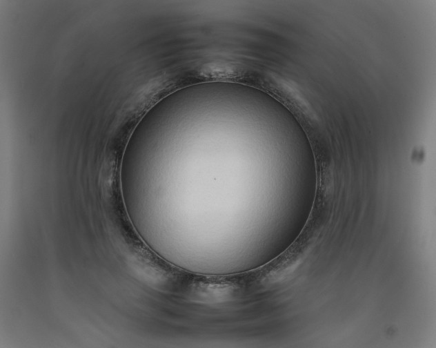 X0000092230645200709281105