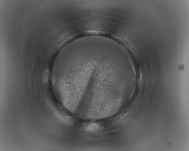 X0000092230647200709281105