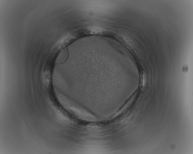 X0000092230648200709281105