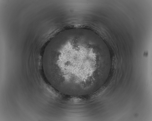 X0000092230650200709281105