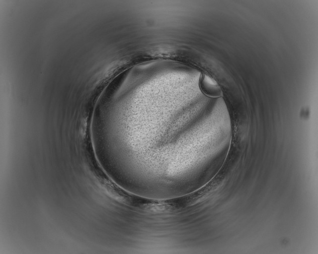 X0000092230652200709281105