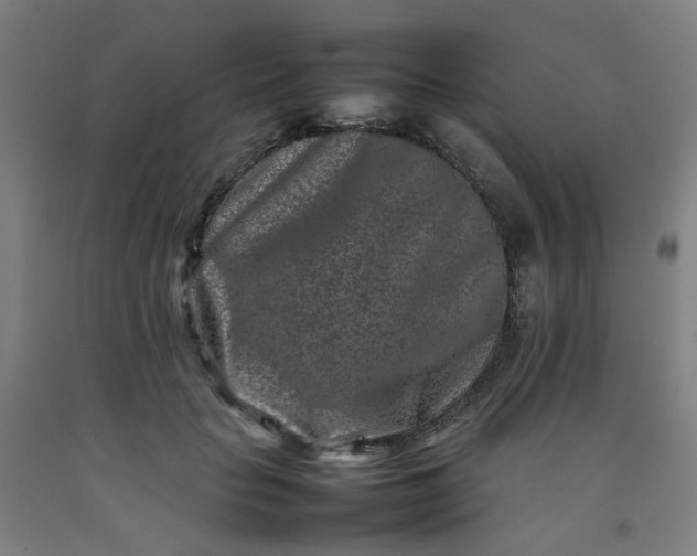 X0000092230653200709281105