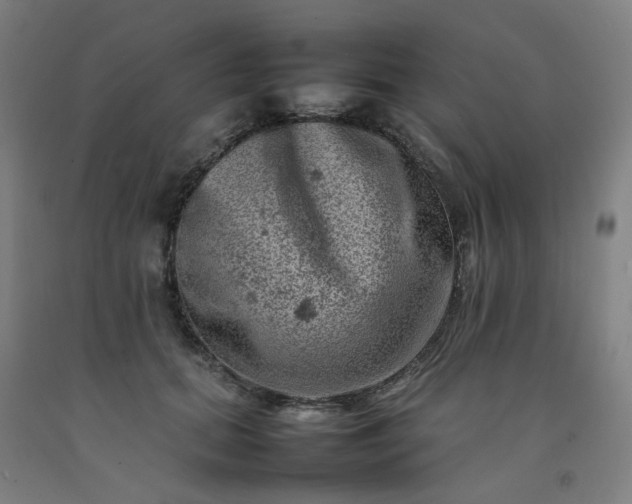 X0000092230655200709281105