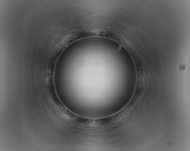 X0000092230656200709281105