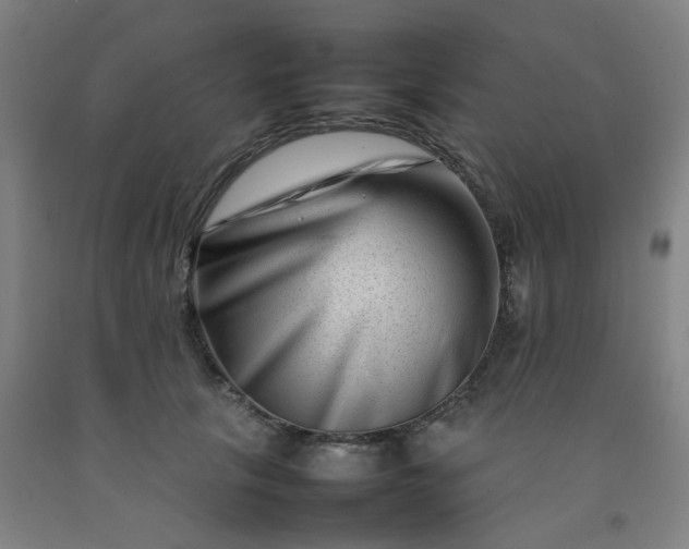 X0000092230657200709281105