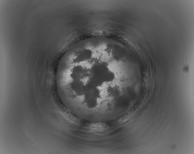 X0000092230659200709281105