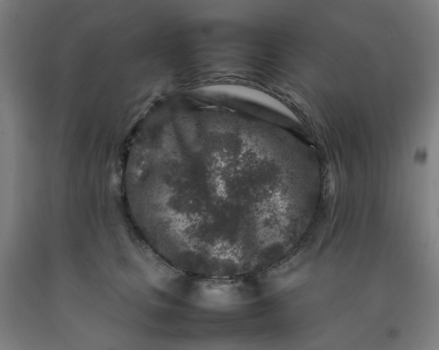 X0000092230661200709281105