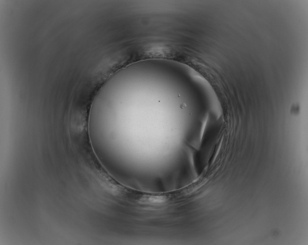 X0000092230665200709281105