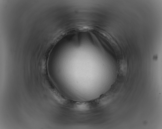 X0000092230667200709281105