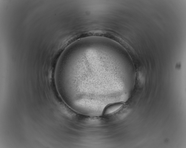 X0000092230668200709281105