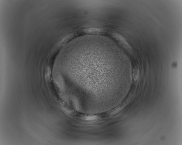 X0000092230669200709281105