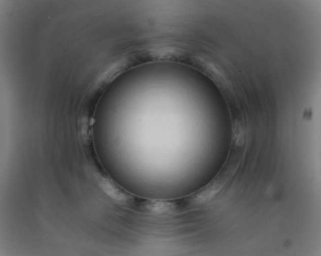 X0000092230670200709281105