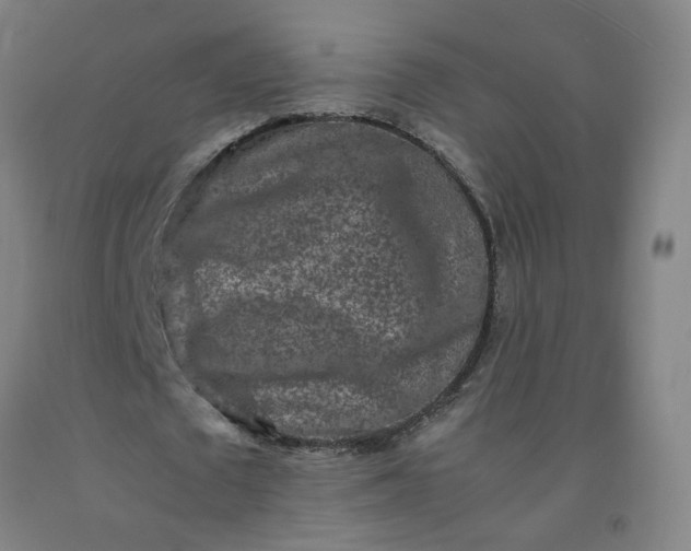 X0000092230673200709281105