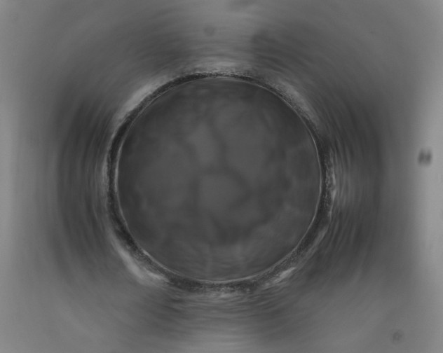 X0000092230674200709281105