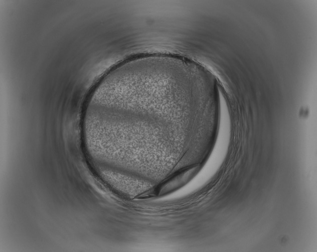 X0000092230677200709281105