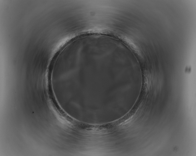 X0000092230678200709281105