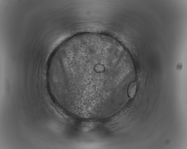 X0000092230679200709281105