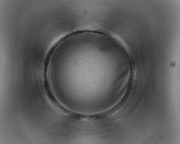 X0000092230680200709281105