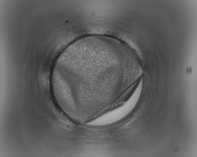 X0000092230681200709281105