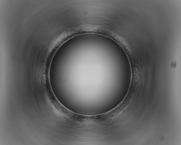 X0000092230682200709281105