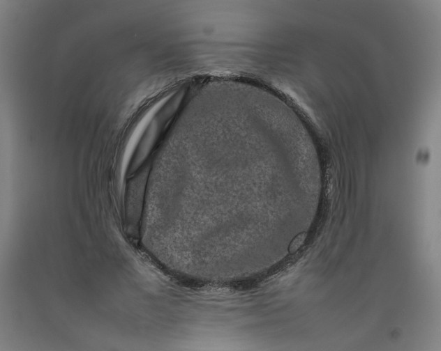 X0000092230685200709281105