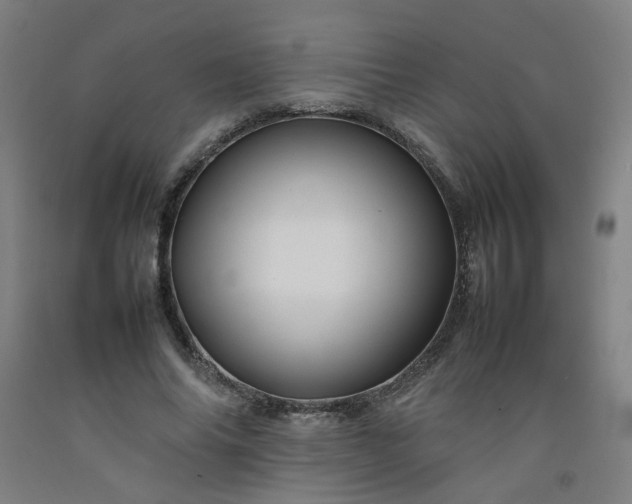 X0000092230686200709281105