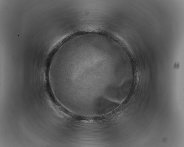 X0000092230688200709281104