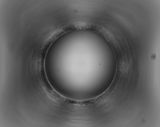 X0000092230690200709281104