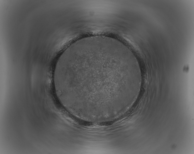 X0000092230691200709281104