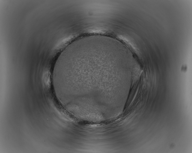 X0000092230692200709281104