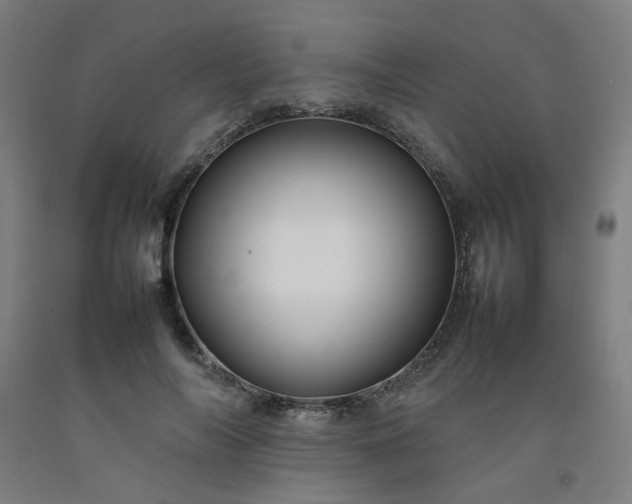 X0000092230694200709281104