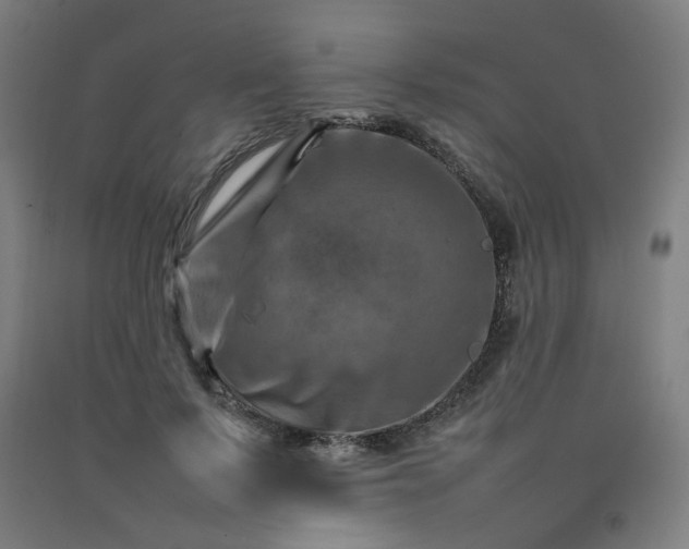 X0000092230695200709281104