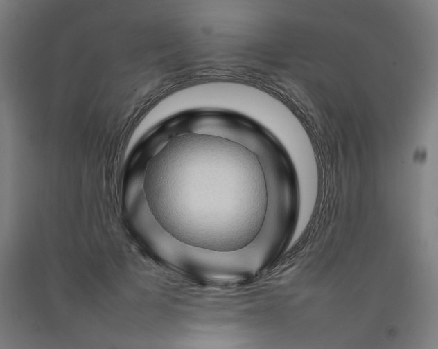 X0000092230697200709281104