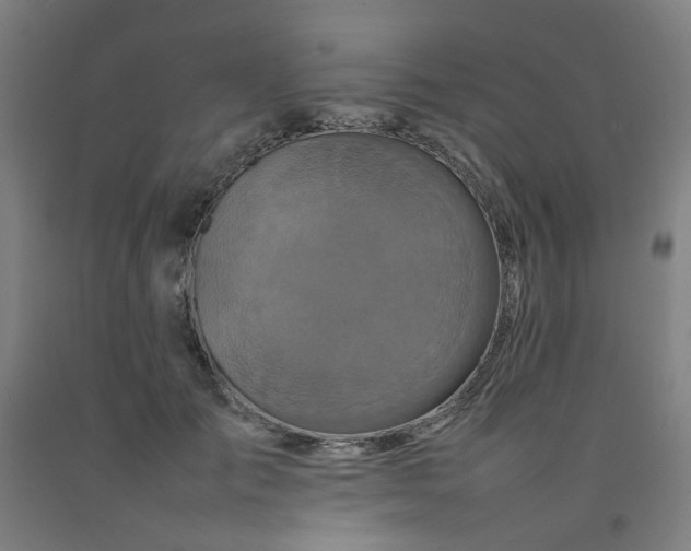 X0000092230701200709281104