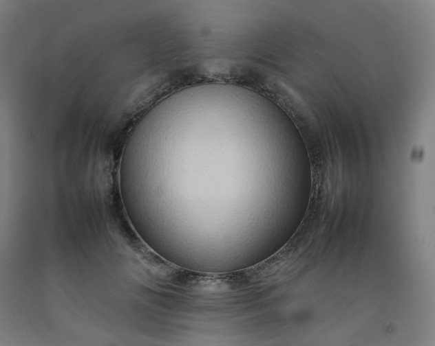 X0000092230702200709281104