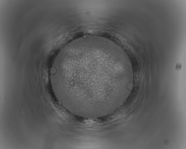 X0000092230703200709281104