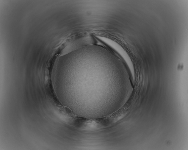 X0000092230704200709281104