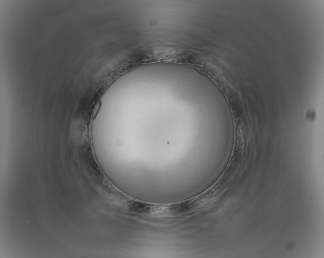 X0000092230705200709281104