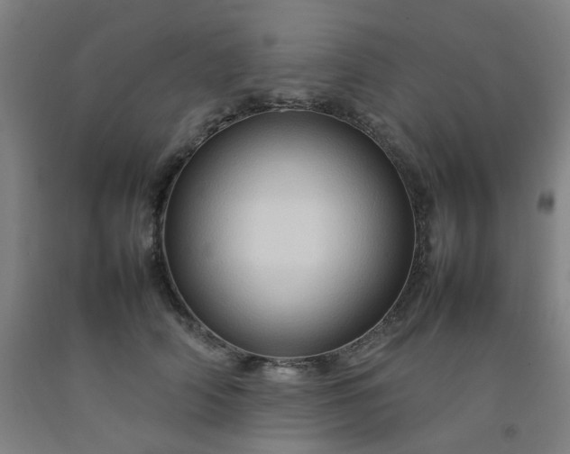 X0000092230706200709281104