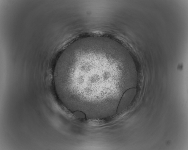 X0000092230707200709281104