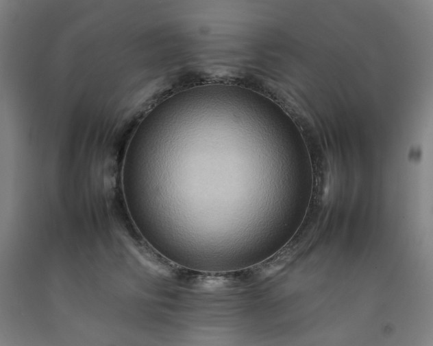 X0000092230710200709281104