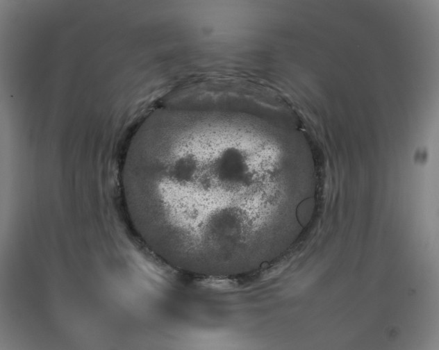 X0000092230711200709281104