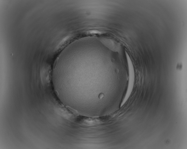 X0000092230712200709281104