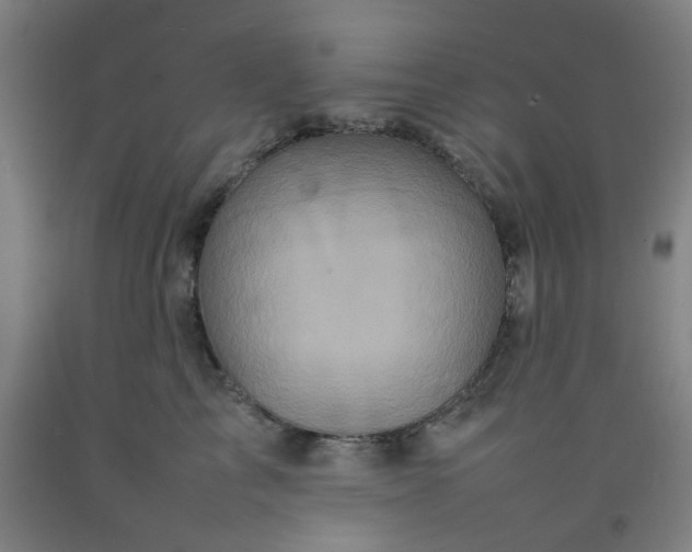 X0000092230713200709281104