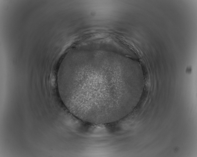 X0000092230715200709281104