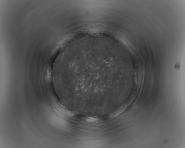 X0000092230718200709281104