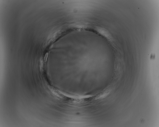 X0000092230720200709281104