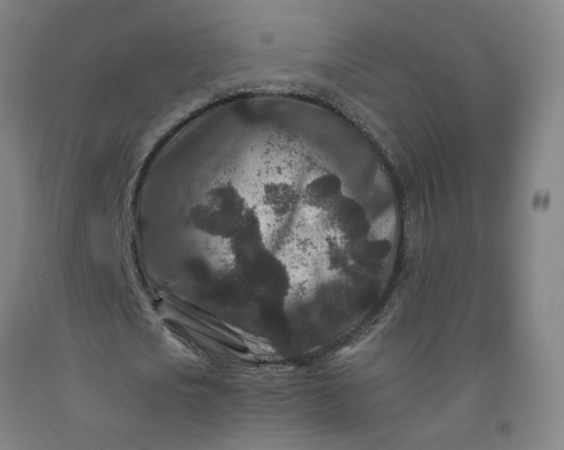 X0000092230721200709281103