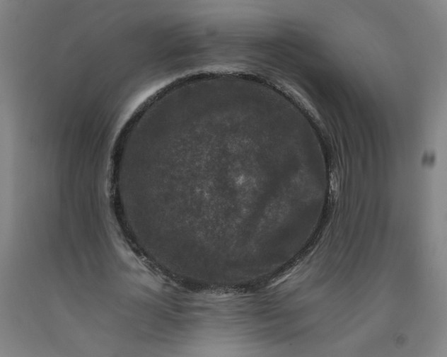 X0000092230724200709281104