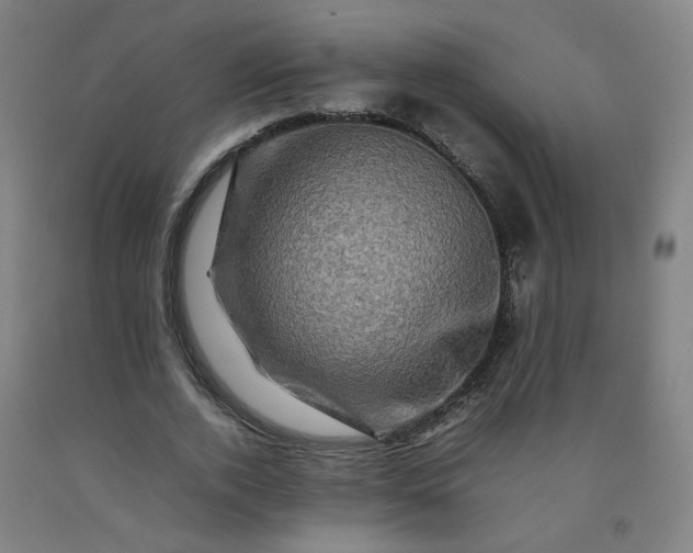 X0000092230728200709281104